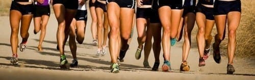 legs