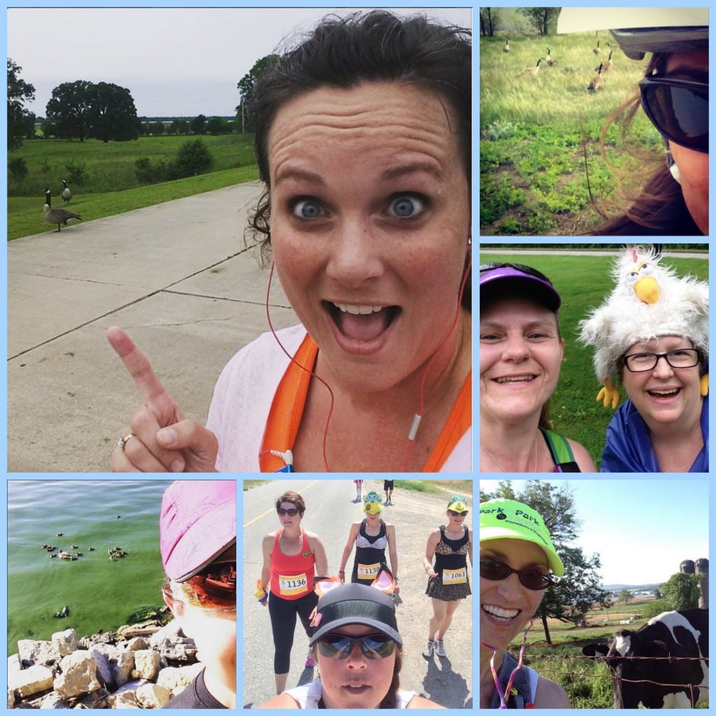 Geese—and one cow—made cameos.