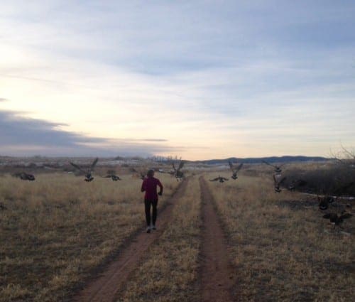 Katie, making the geese fly, a run we did together a few weeks ago. Maybe they were headed to the track. (Nice synergy, right?)