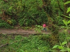 Sarah's elusive daughter (4 years ago), dashing through a verdant forest in Portland.