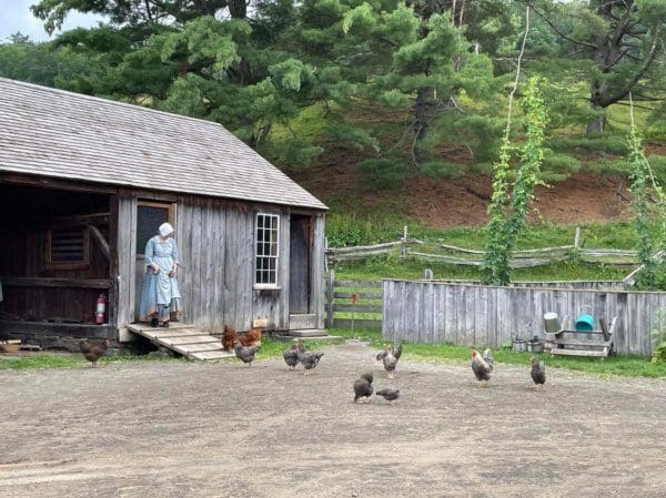 A woman in a long blue dress near a barn and surrounded by chickens