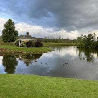 A pond, a gazebo, and some ducks.