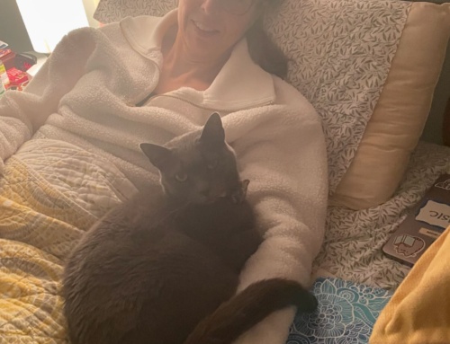 A Runner’s Recovery from Bunion Surgery